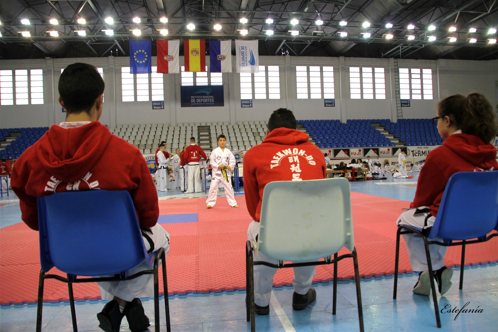 Taekwondo (134).jpg